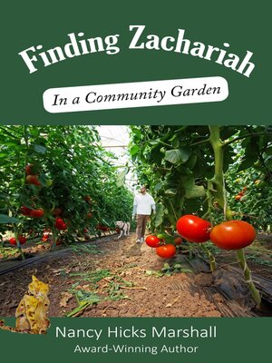cover image of Finding Zachariah